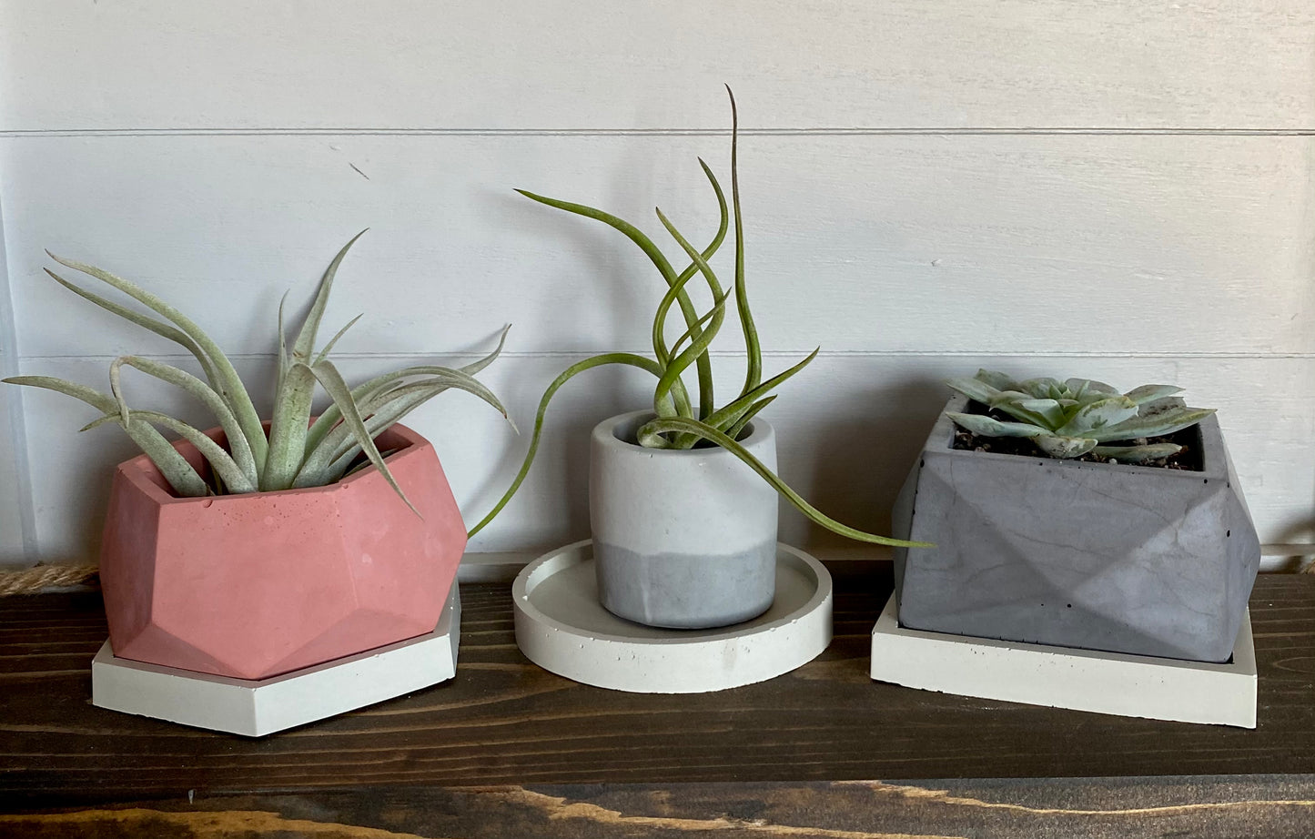 Geometric Concrete Planter