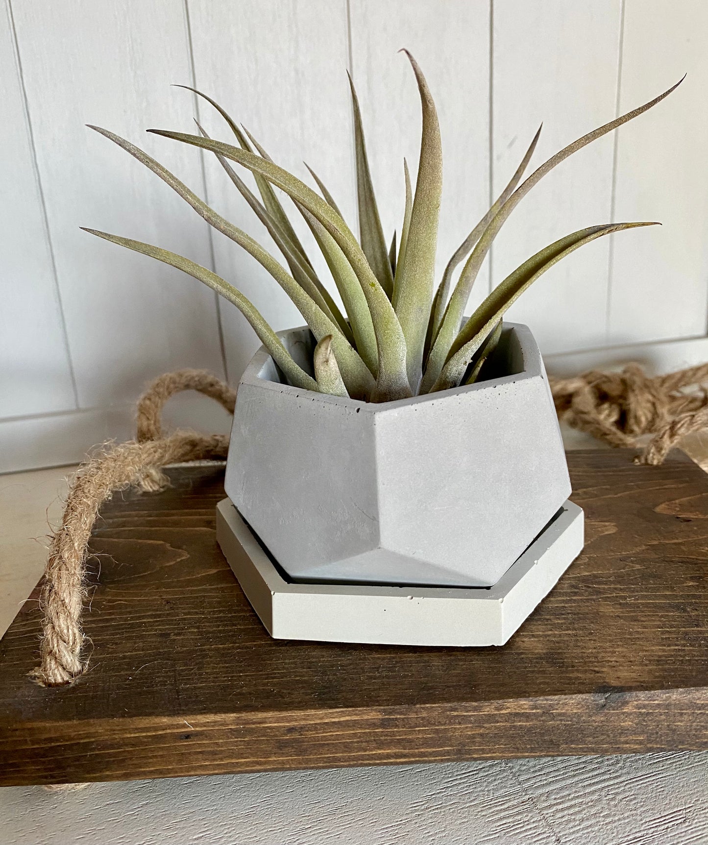 Hexagon Concrete Coaster Tray