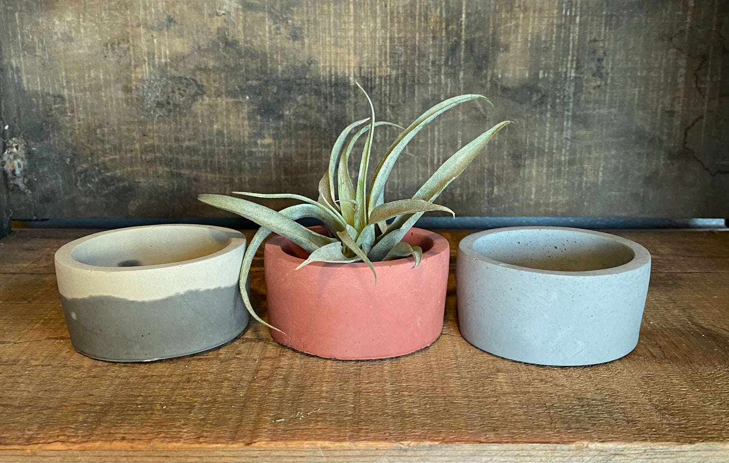 Modern Round Cement Succulent Pot