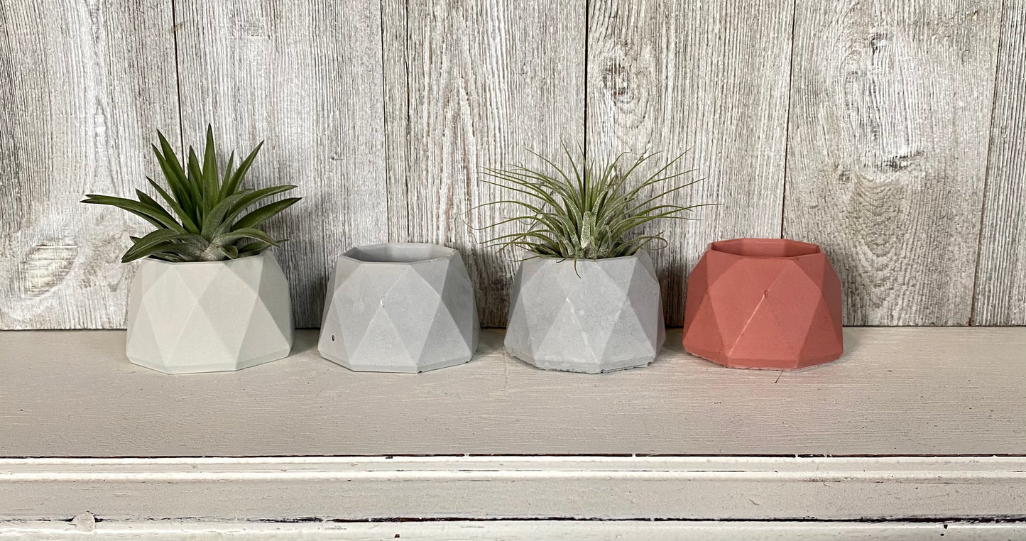 Small Geometric Concrete Air Plant Holder