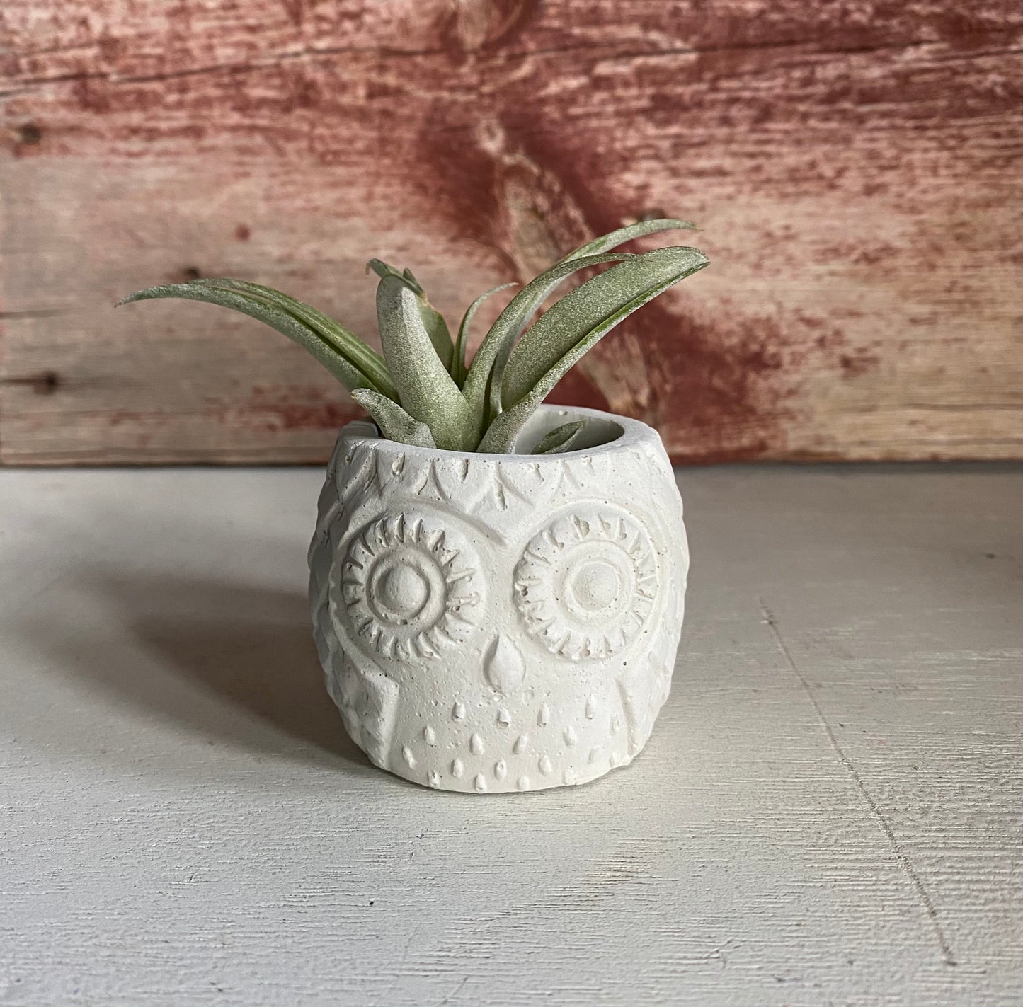 Concrete Owl Planter