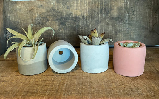 Cylinder Concrete Succulent Pot