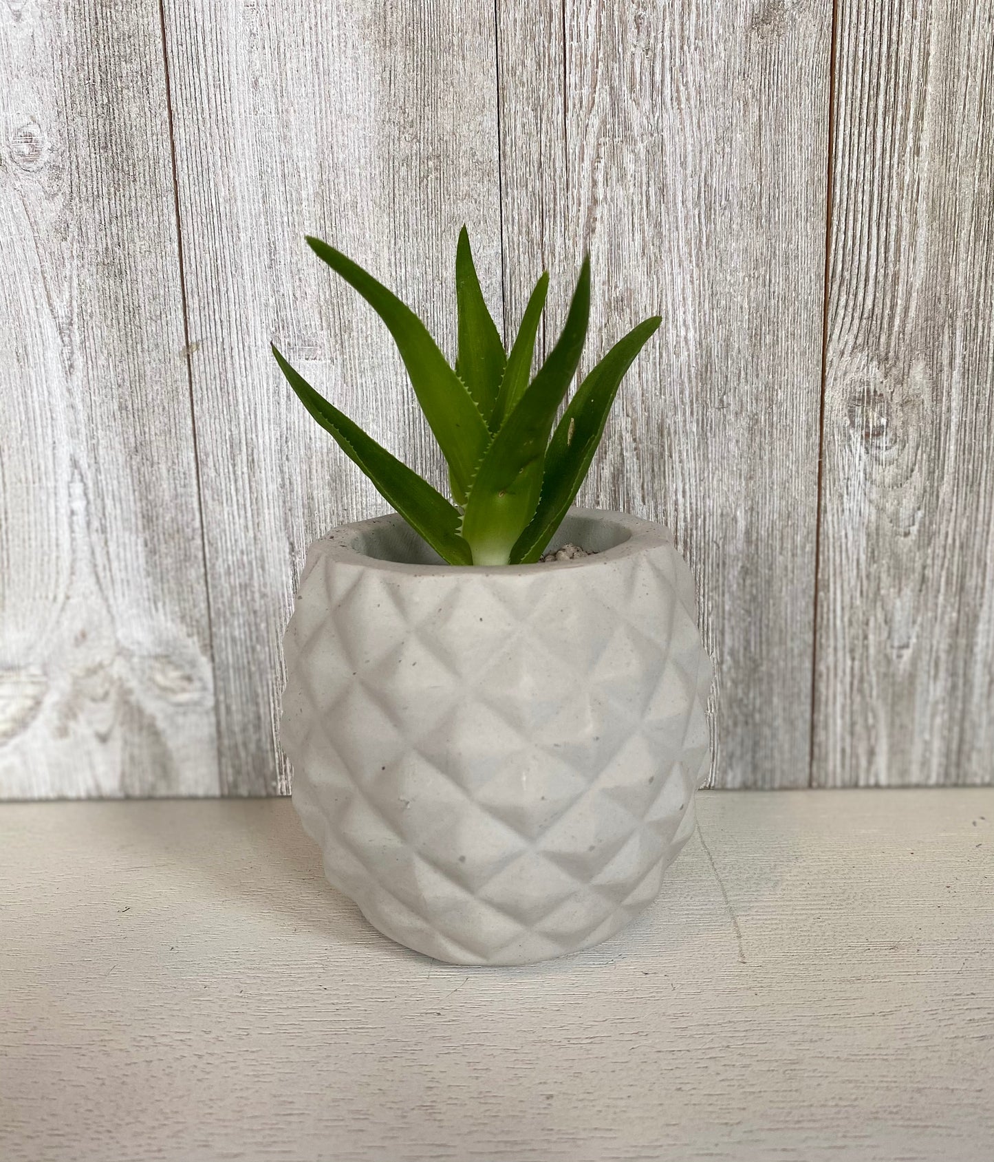 Pineapple Concrete Pot