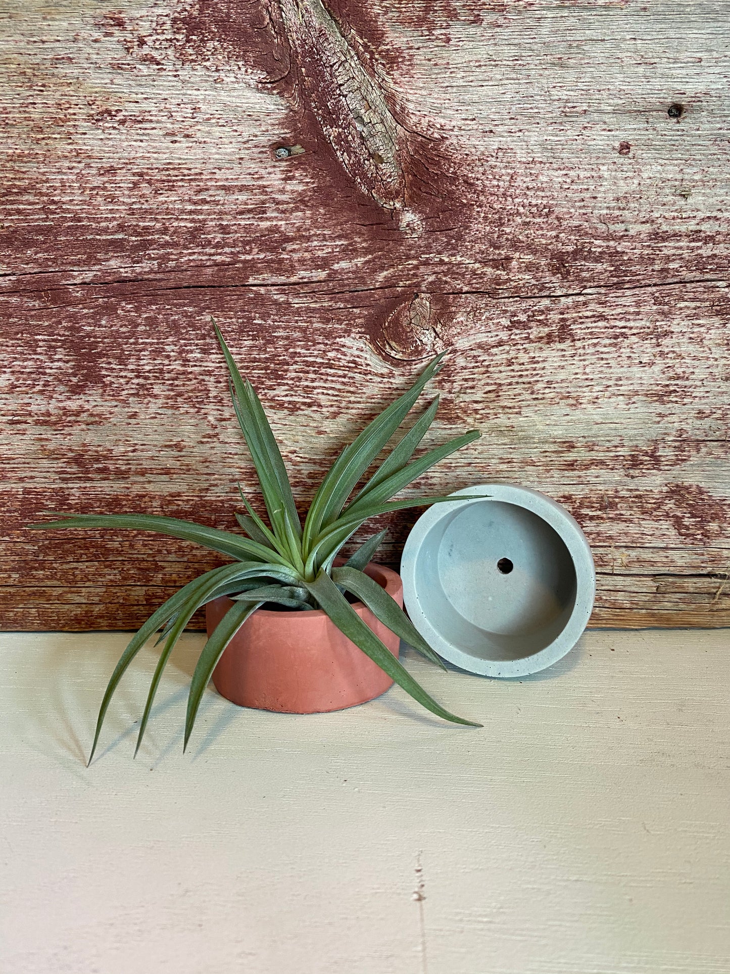 Modern Round Cement Succulent Pot